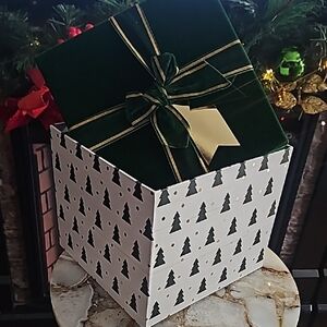 Festive Green and White Gift Box with Tree Design